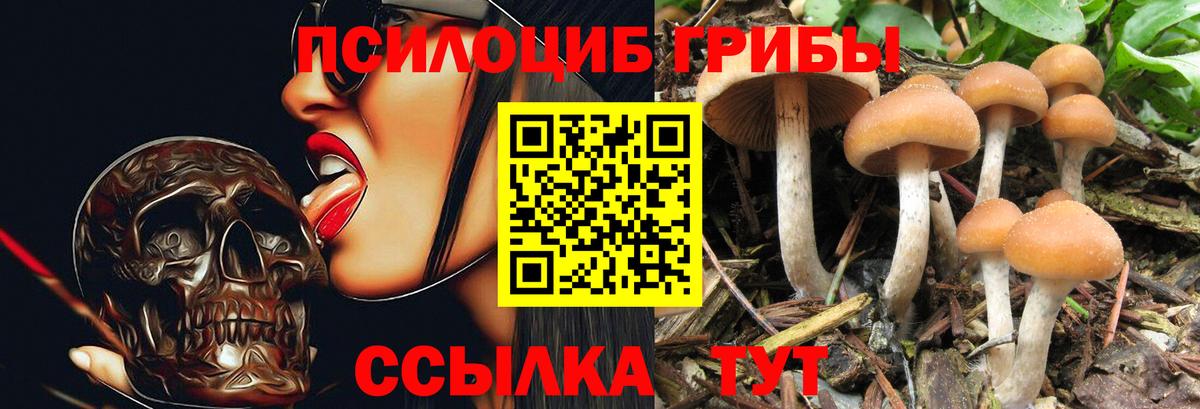 Галлюциногенные грибы мухоморы Менделеевск