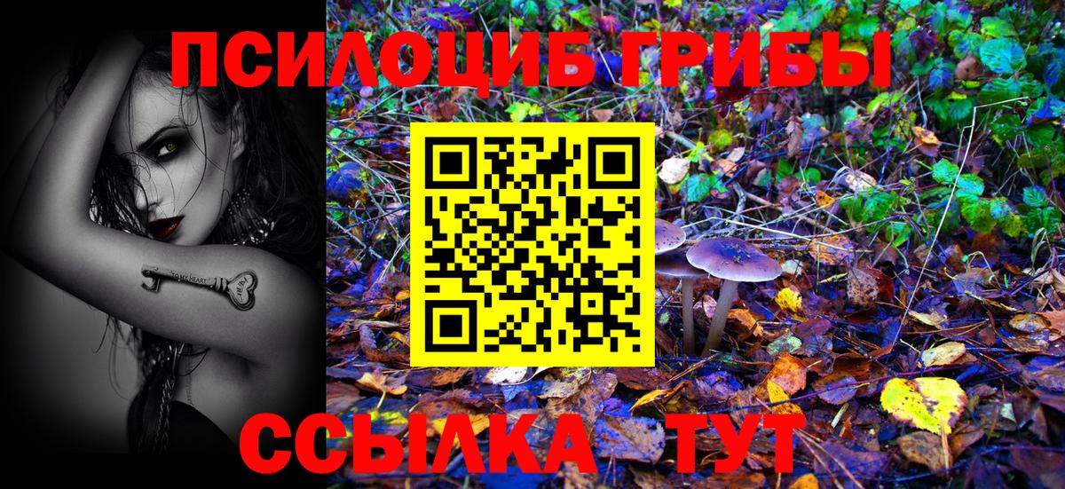 Псилоцибиновые грибы мицелий  Вход с VPN  Менделеевск 
