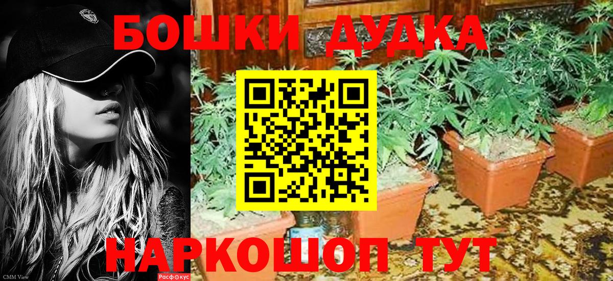 Бошки марихуана гибрид  Бошки Шишки VHQ  Менделеевск  Вход с VPN  Бошки марихуана LSD WEED 